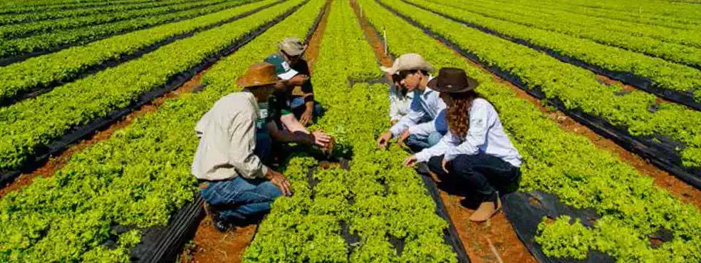 comprar diploma Curso Técnico em Agronegócio, vendo diploma Curso Técnico em Agronegócio